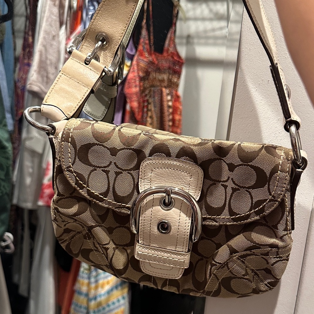 Stylish Brown and Tan Women's Bag